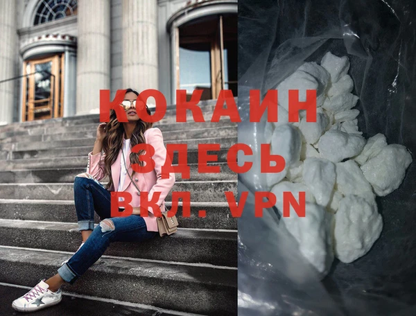 шишки Козельск