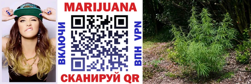 Марихуана Bruce Banner  Купить закладки  Балашов 